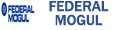 FEDERALMOGUL-CAT